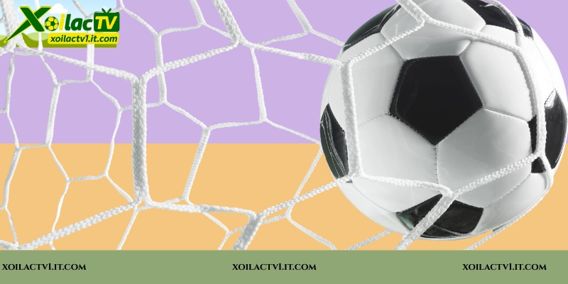 Bảo mật và quyền riêng tư người dùng