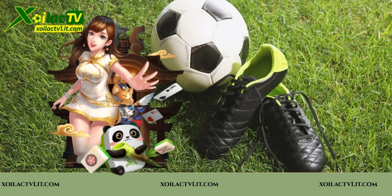 Hướng dẫn chi tiết cách Đăng nhập Xoilac TV