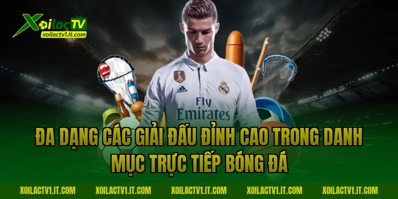 Đa dạng các giải đấu đỉnh cao trong danh mục trực tiếp bóng đá