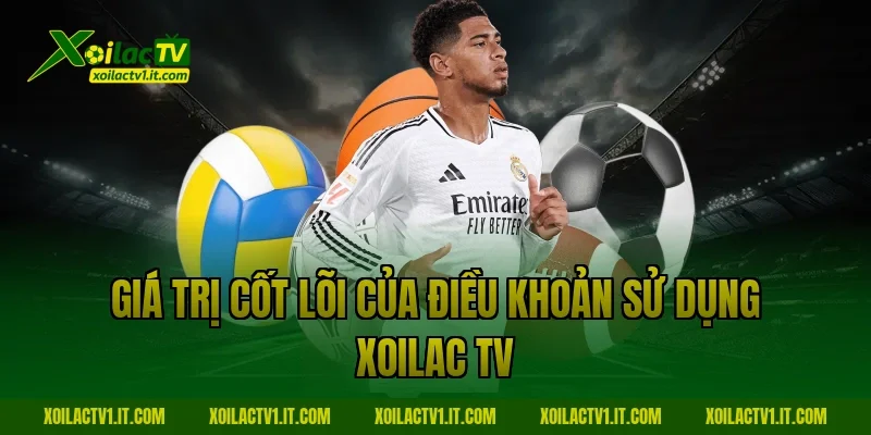 Giá trị cốt lõi của Điều Khoản Sử Dụng Xoilac TV