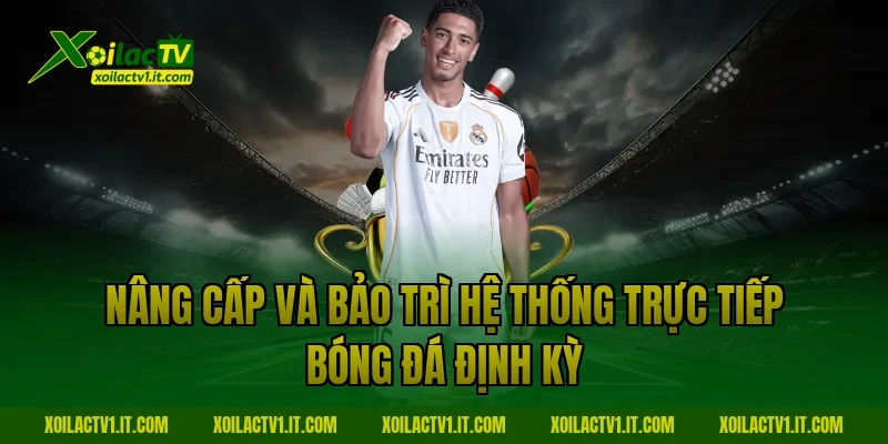 Nâng cấp và bảo trì hệ thống trực tiếp bóng đá định kỳ