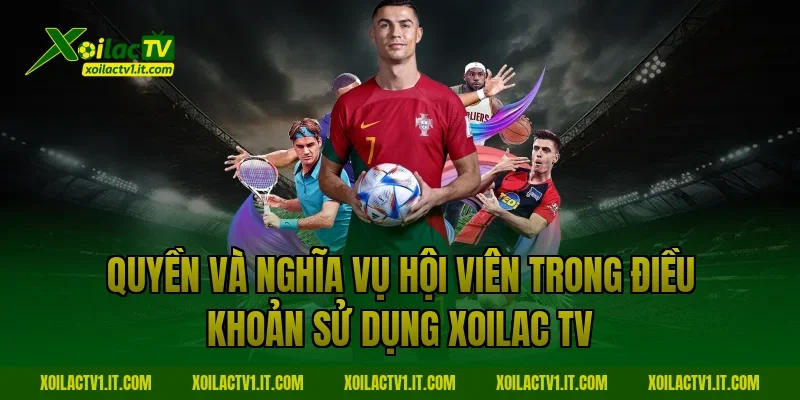 Quyền và nghĩa vụ hội viên trong Điều Khoản Sử Dụng Xoilac TV