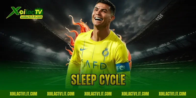 Sleep Cycle Là Gì? Bí Mật Giúp Tối Ưu Hiệu Suất Thi Đấu